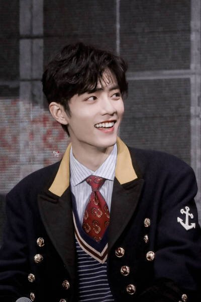 肖战 王子 陈情令演唱会 壁纸头像