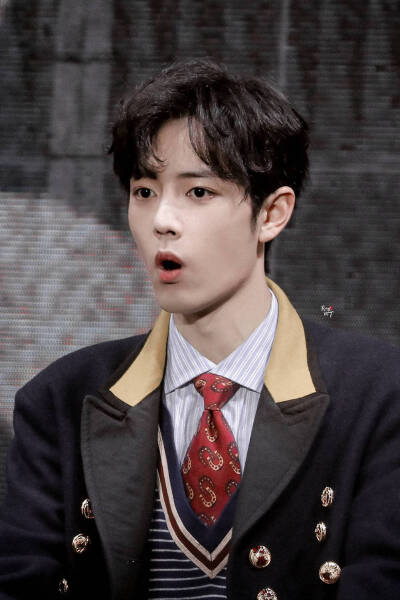 肖战 王子 陈情令演唱会 壁纸头像