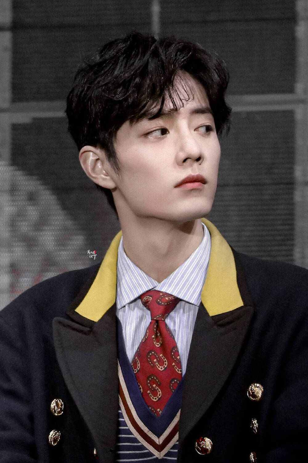 肖战 王子 陈情令演唱会 壁纸头像