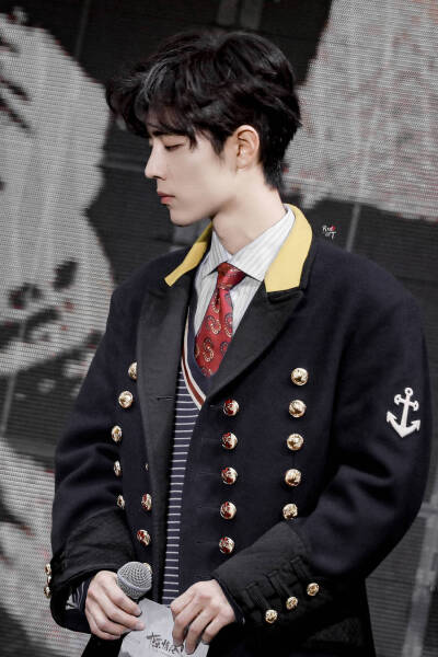 肖战 王子 陈情令演唱会 壁纸头像