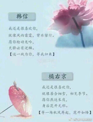 王者表白