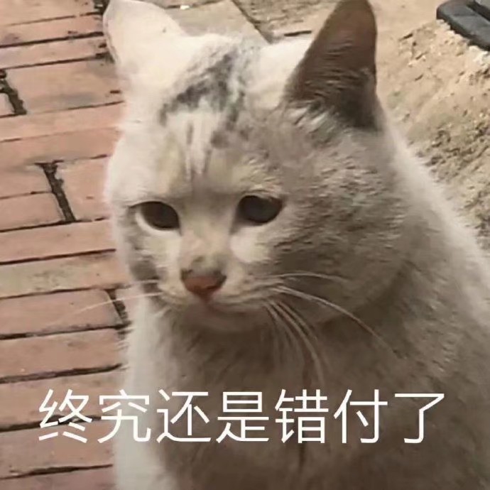 小可爱表情包