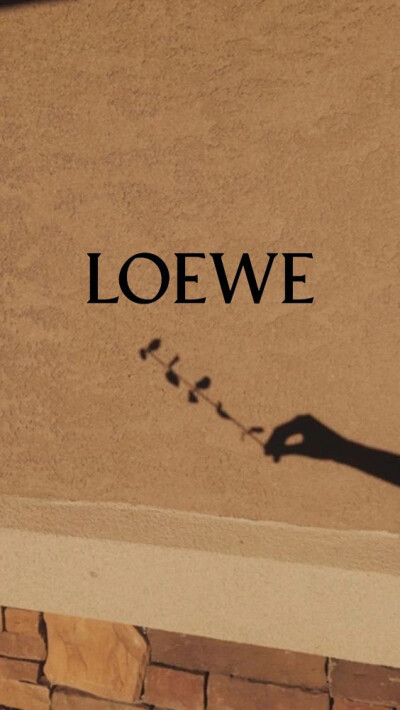 壁纸背景LOEWE