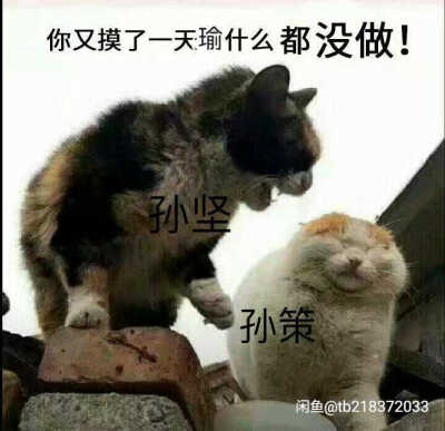 表情包