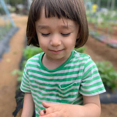 威廉xi, 图源自叨叨记账