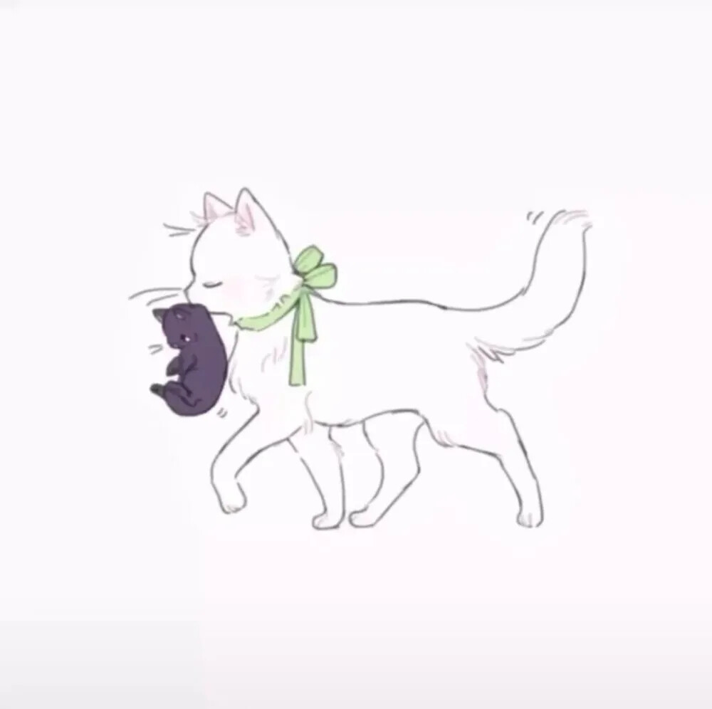 抖音热门情头