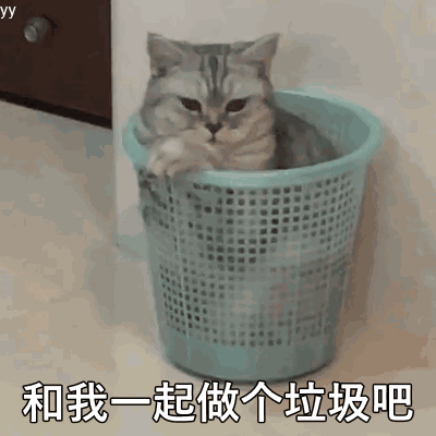 猫咪表情包 gif 和我一起做个垃圾吧