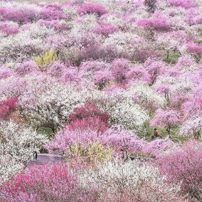 日本梅林公园