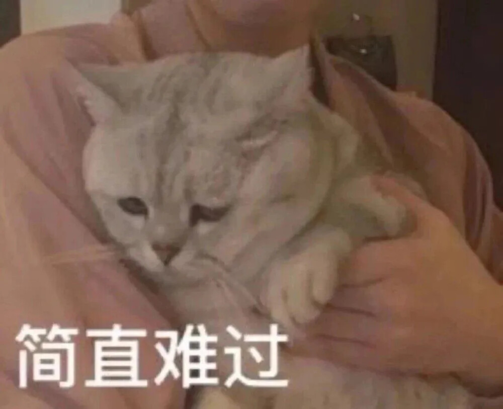 猫猫表情包 斗图 沙雕卖萌必备 简直难过