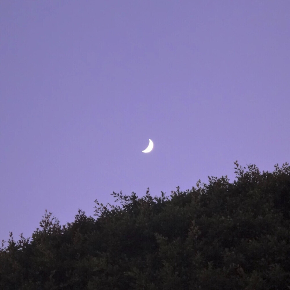 【原创】《半盏月光》
虫鸣萦在耳畔的时候，月亮就上来了
渺远的琴声一般，然后滴落
湖面起了涟漪，一圈一圈漾开
夜是紫色的，盛满着诱惑
月光漂白了记忆，散落在所有的路口
这时，你会听见我的呓语
随着夏夜的风，睡在每一朵莲间
喜欢这静谧的味道，像淡淡的忧郁
斟半盏月光，独酌
醉了星月，也醉了风尘
浅寐在蛙鸣里，思绪流淌成荷香
一片云，轻轻滑过
和我的影子道别，也和流水道别
我把自己藏了起来，只留下那盏月光
文/陈宝文，笔名墨篱、云舒，河北省平泉市人，喜欢自由自在的生活，2015年开始学习写作诗歌。
图/堆糖#诗歌# #情感#