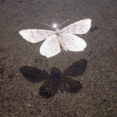  P̶i̶c̶t̶u̶r̶e̶ m̶e̶ g̶o̶n̶e