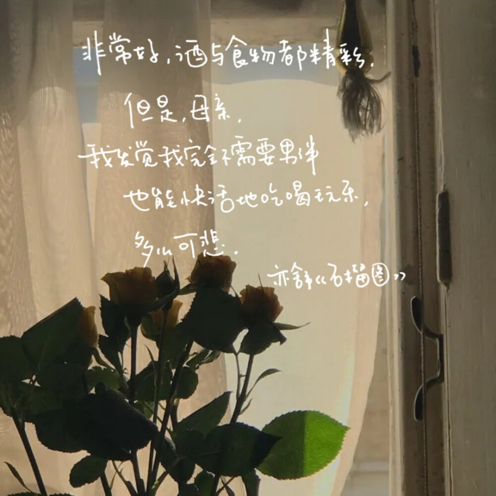 亦舒语录 文字手写