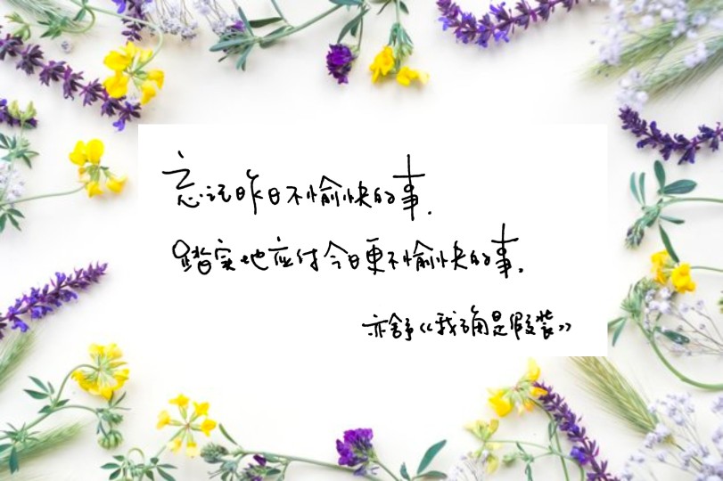 亦舒语录 文字手写