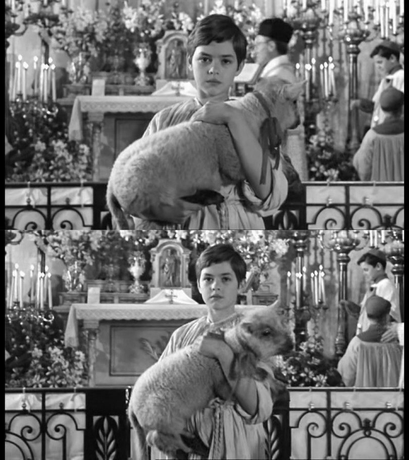 特殊的友情
(初见)