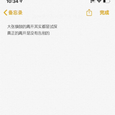 备忘录的文字