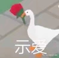 暴躁大鹅