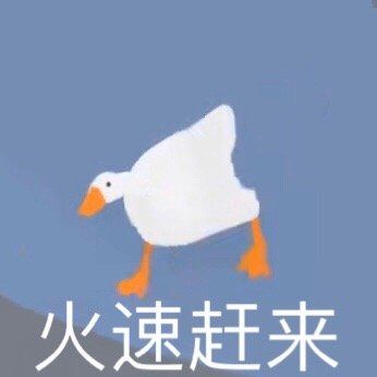 暴躁大鹅