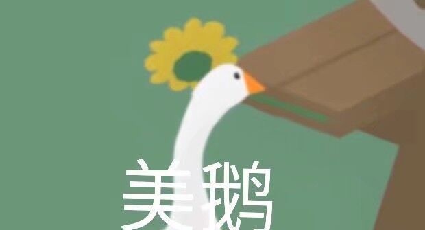 暴躁大鹅