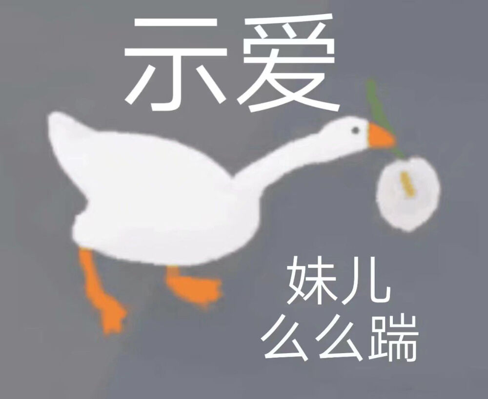 暴躁大鹅