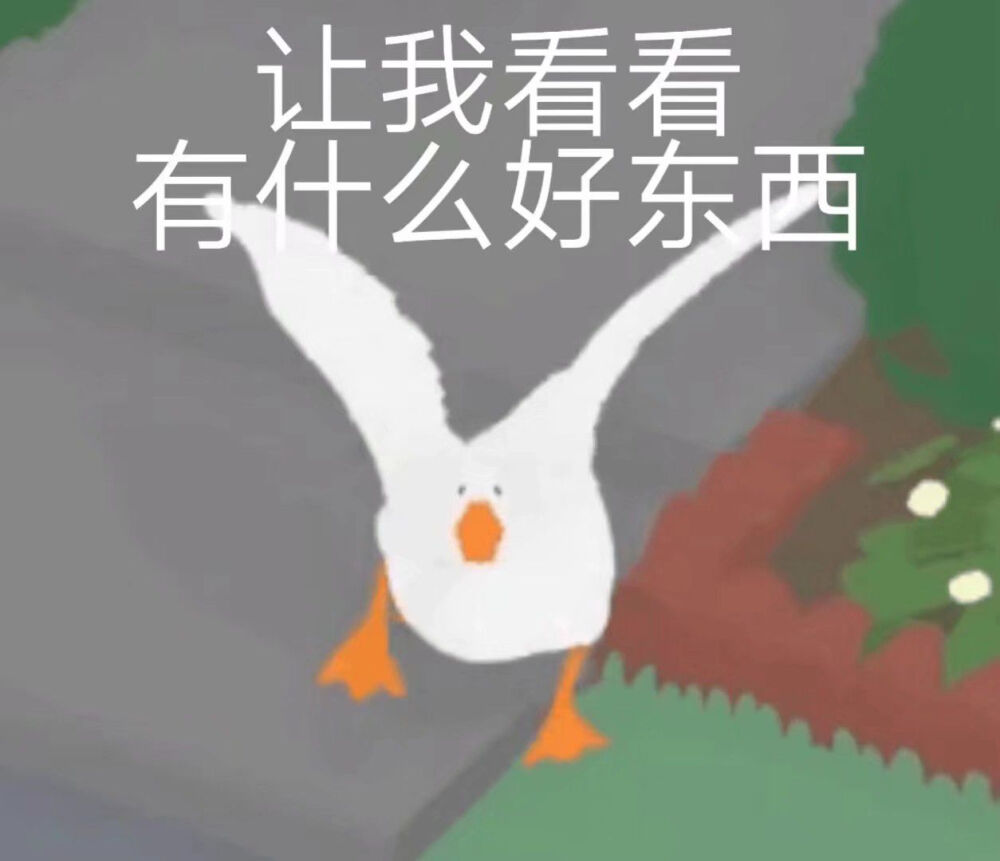 暴躁大鹅