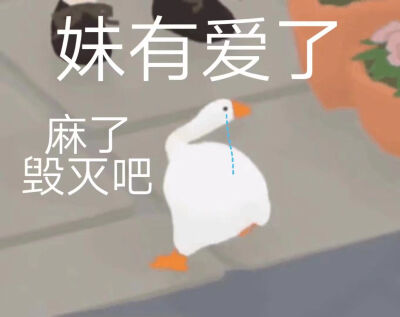 暴躁大鹅