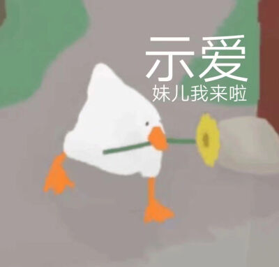 暴躁大鹅