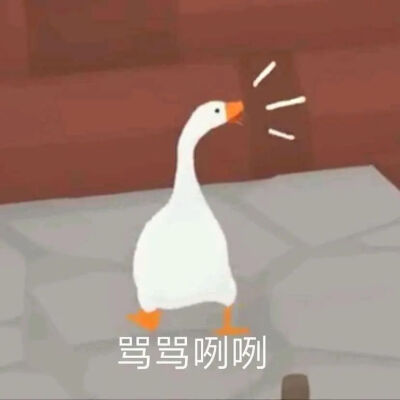 暴躁大鹅