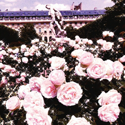 
#Rose are my princess
原截词庸公子