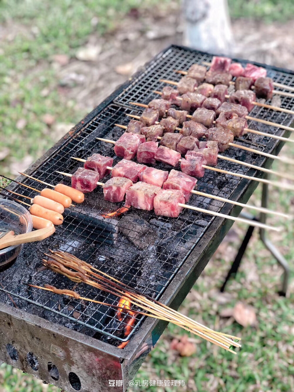 也想和朋友们出去野餐烤肉