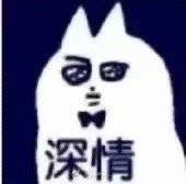表情包