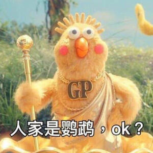 鹦鹉兄弟表情包 - 高清图片,堆糖,美图壁纸兴趣社区