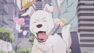 桜の下の约束【兔缨】