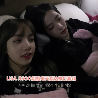 Lisa/jisoo
字幕标明:末日鸡蛋字幕组/老弱病残字幕组
二改标明:小熊吻文