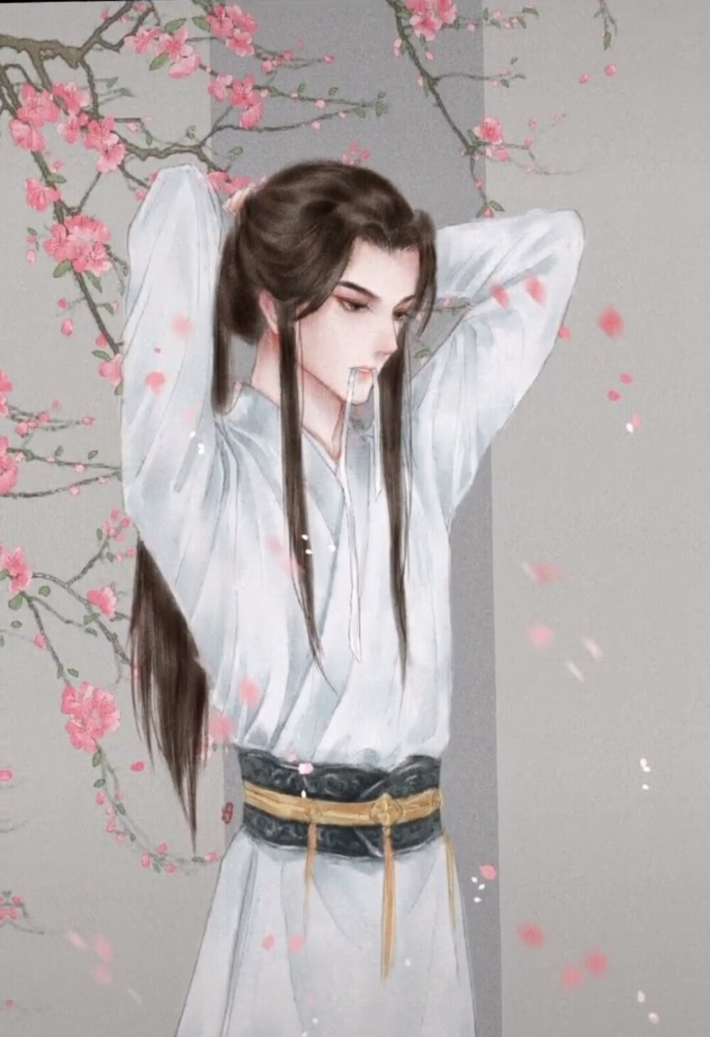 二哈和他的白猫师尊