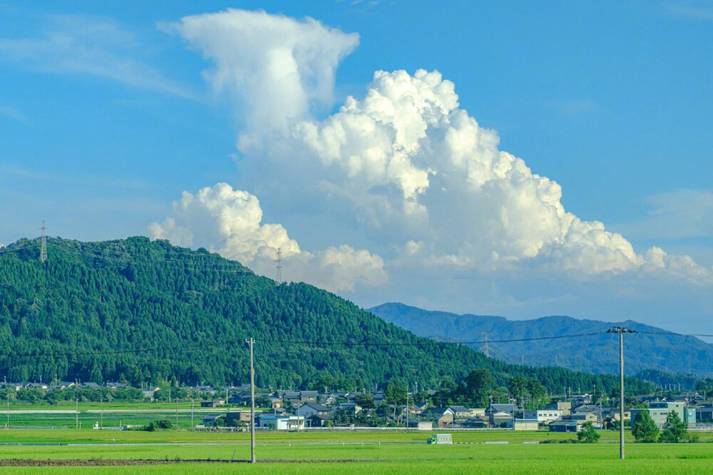 日本