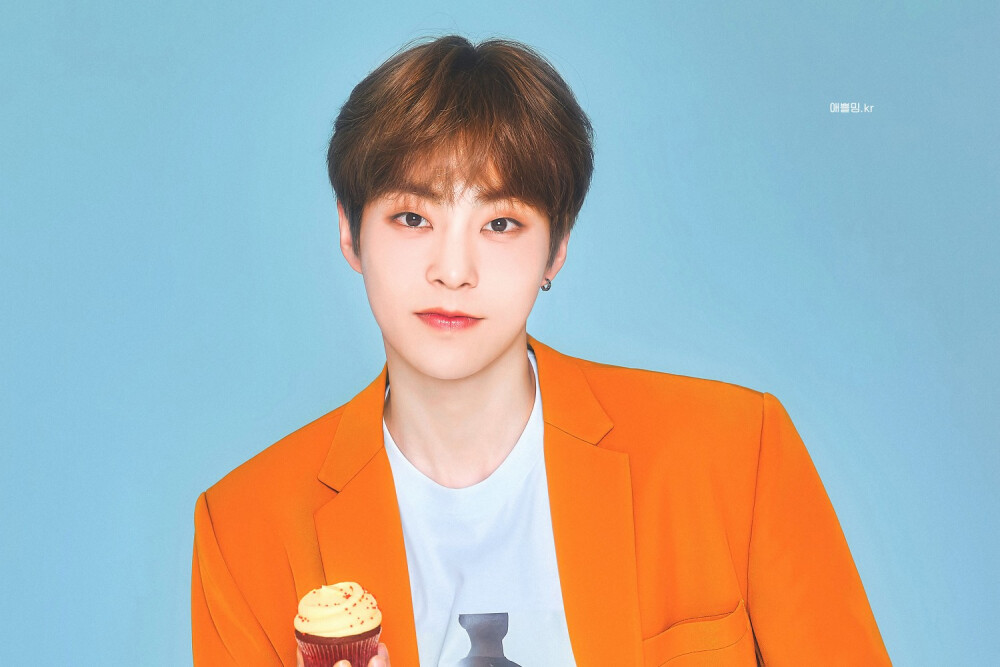 EXO金珉锡XIUMIN