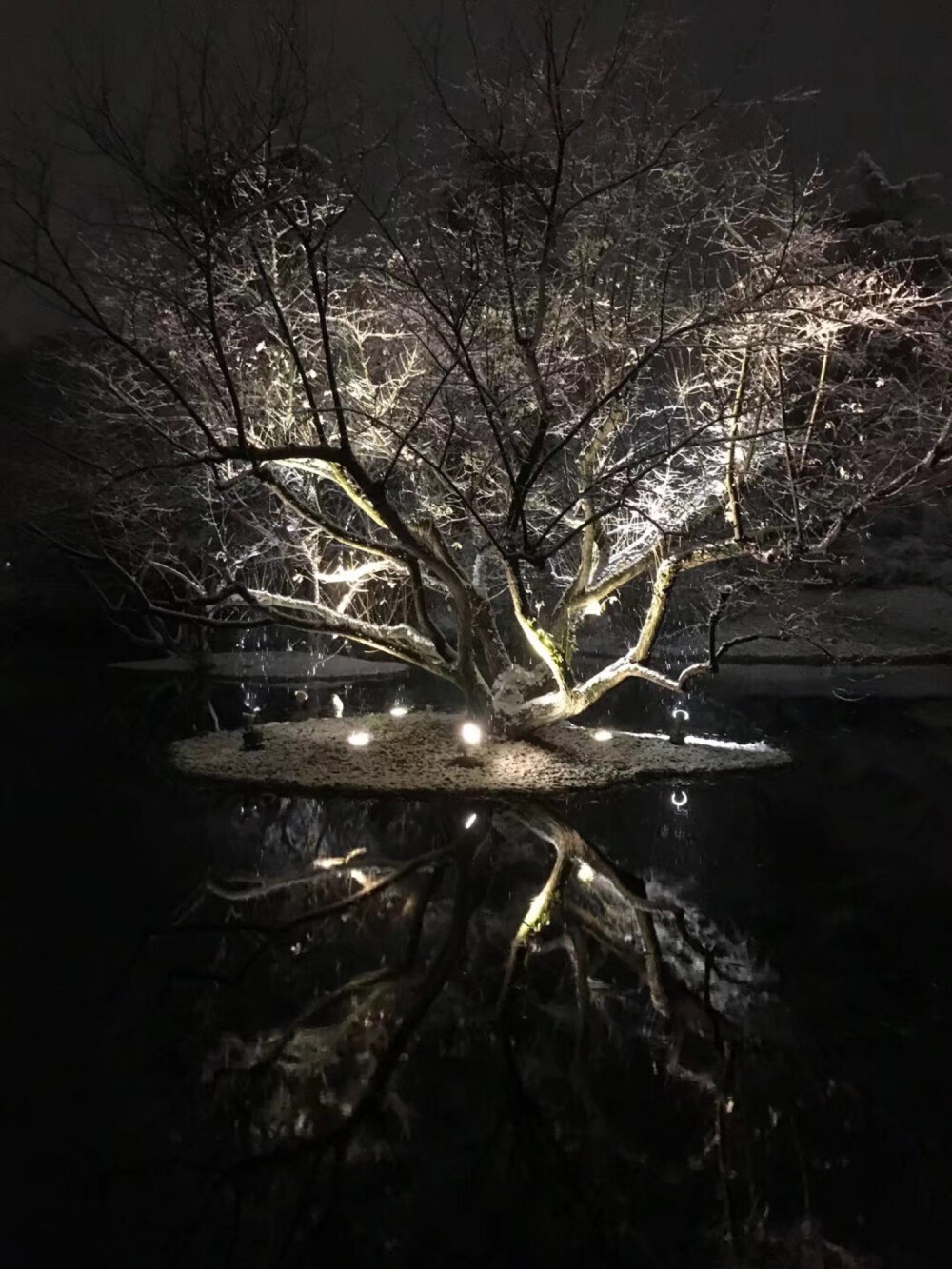 18年冬至，大雪纷飞，去断桥的路上迷了路，晚上七点偶遇此景。