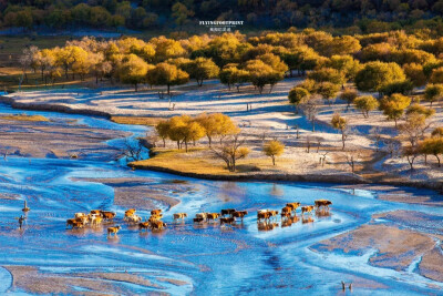 风景