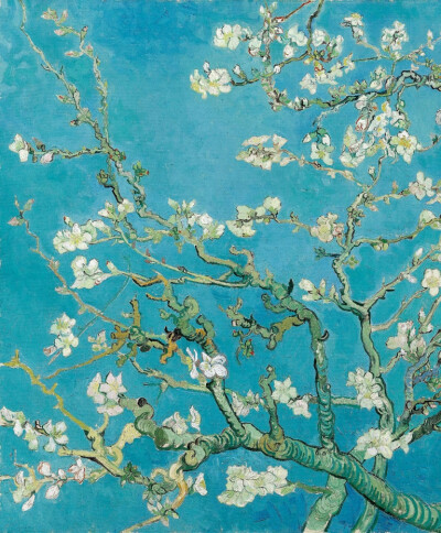 文森特·梵高 杏花
1890年4月 73.5cm×92cm 阿姆斯特丹梵高美术馆