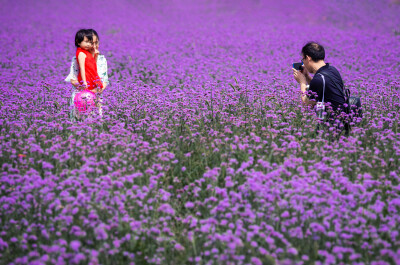 荻浦花海（20200607）