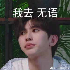 ninepercent表情包