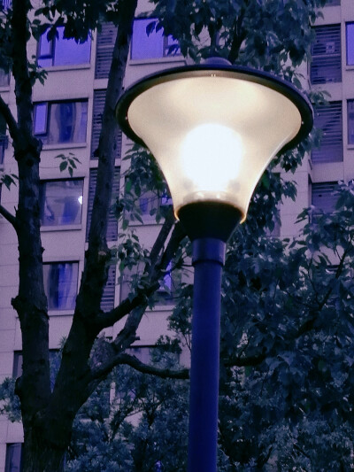 自己拍的，适合做背景图，不许二传