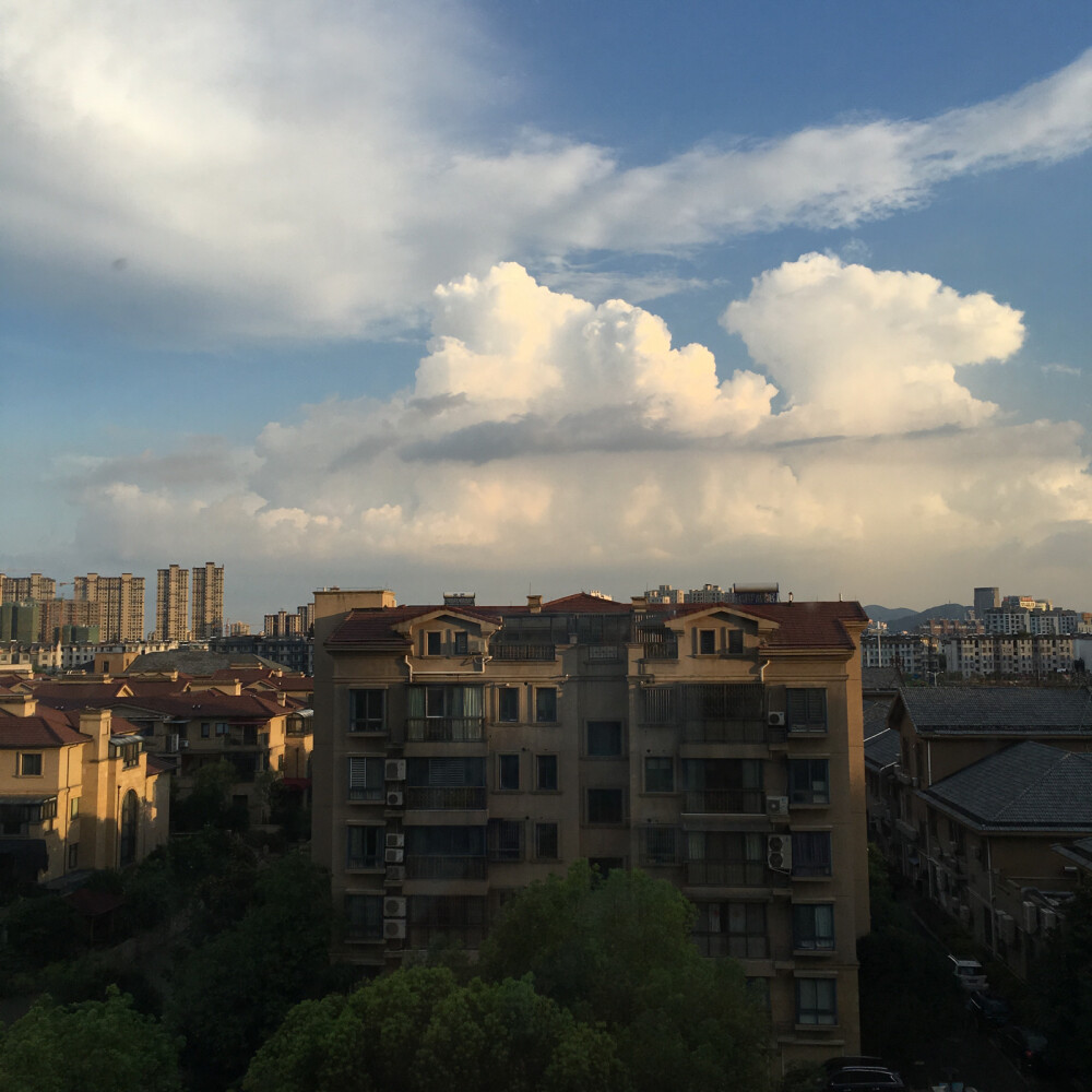 夏日的风雨总是吹皱城市的喧嚣