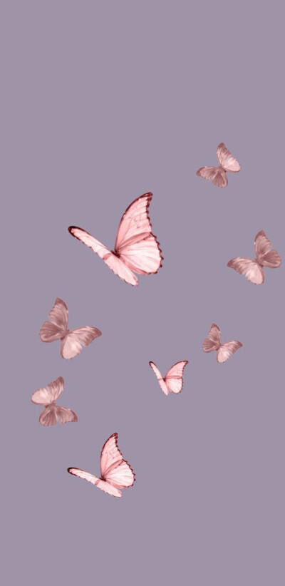 风格壁纸ins蝴蝶.