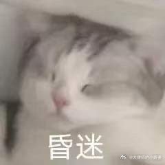表情包