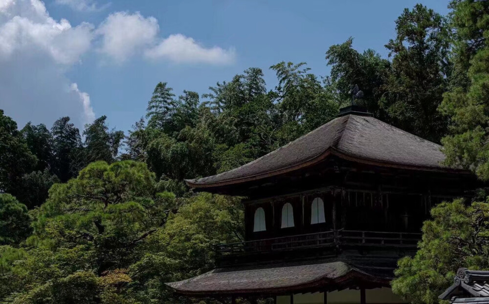 太宰府天满宫位于日本福冈太宰府市，与京都北野天满宫同为日本天满宫总本社。
天满宫是日本祭祀平安时代学者、后被奉为学问之神菅原道真的神社社格。人们为祈学业有成，常会到天满宫参拜。
摄影师 Hirashima 在人群之外，定格了神社的宁静瞬间。