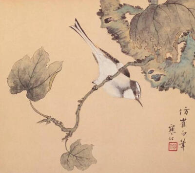 江寒汀是当代海派花鸟画第一人，为近现代海派小写意花鸟最重要代表画家，名列“海上花鸟四大名旦”之首。 