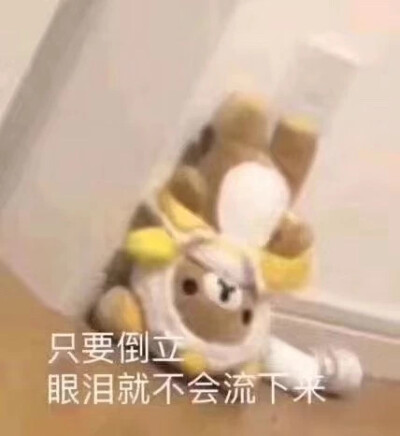 毛绒绒的玩偶 可爱表情包 轻松熊 只要倒立 眼泪就不会流下来