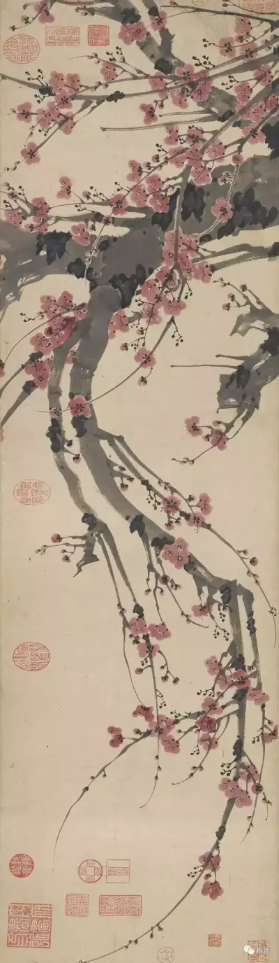 明 姚綬 《紅梅圖卷》
31.9×112.8cm(橫屏觀看)
美 國 弗 利 爾 博 物 館 藏