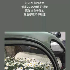 感情如木淡薄如素moon 关注 iphone壁纸,桌面#手机壁纸,欧美个性#小